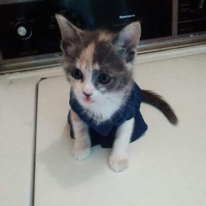 Meet your Posher, Lillian